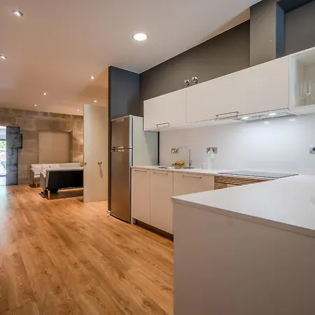Flateli Plaça Catalunya 1-2 Appartement Gérone