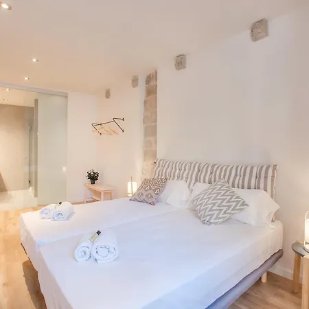 Flateli Plaça Catalunya 1-2 Appartement Gérone